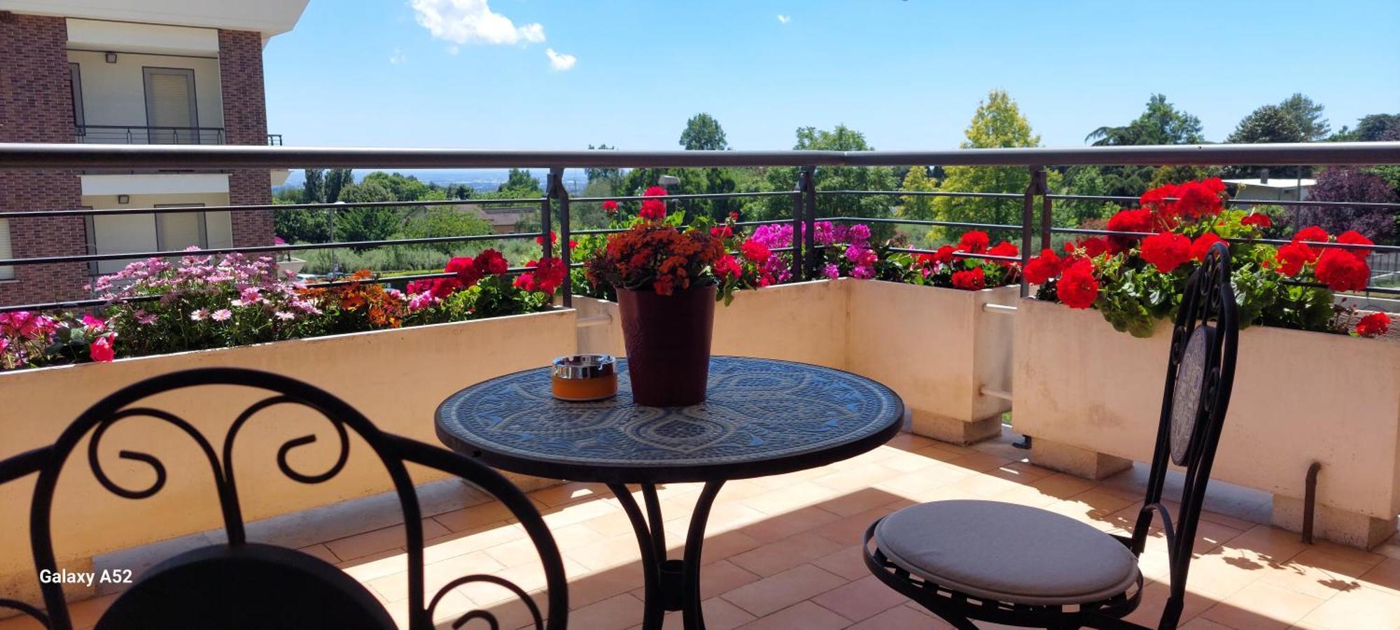 Relax & Business Luxury Apartment Velletri Dış mekan fotoğraf